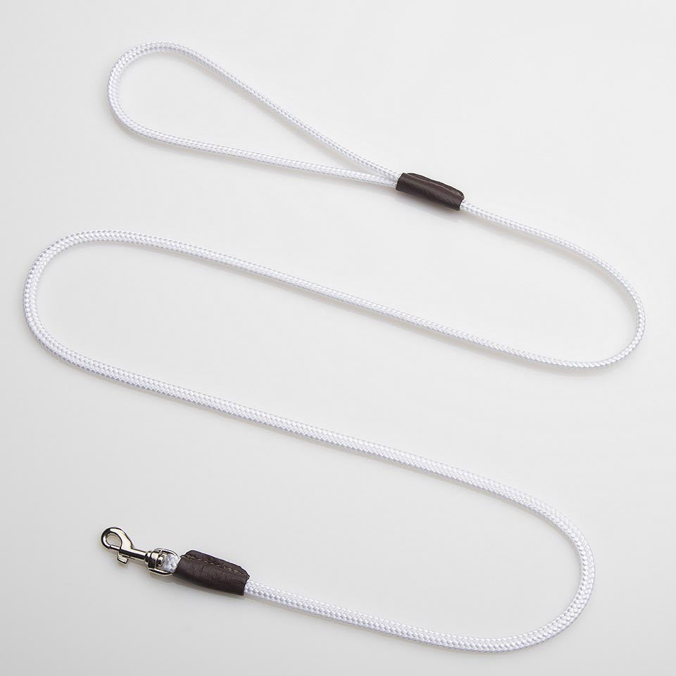 Mendota Show Snap Leash