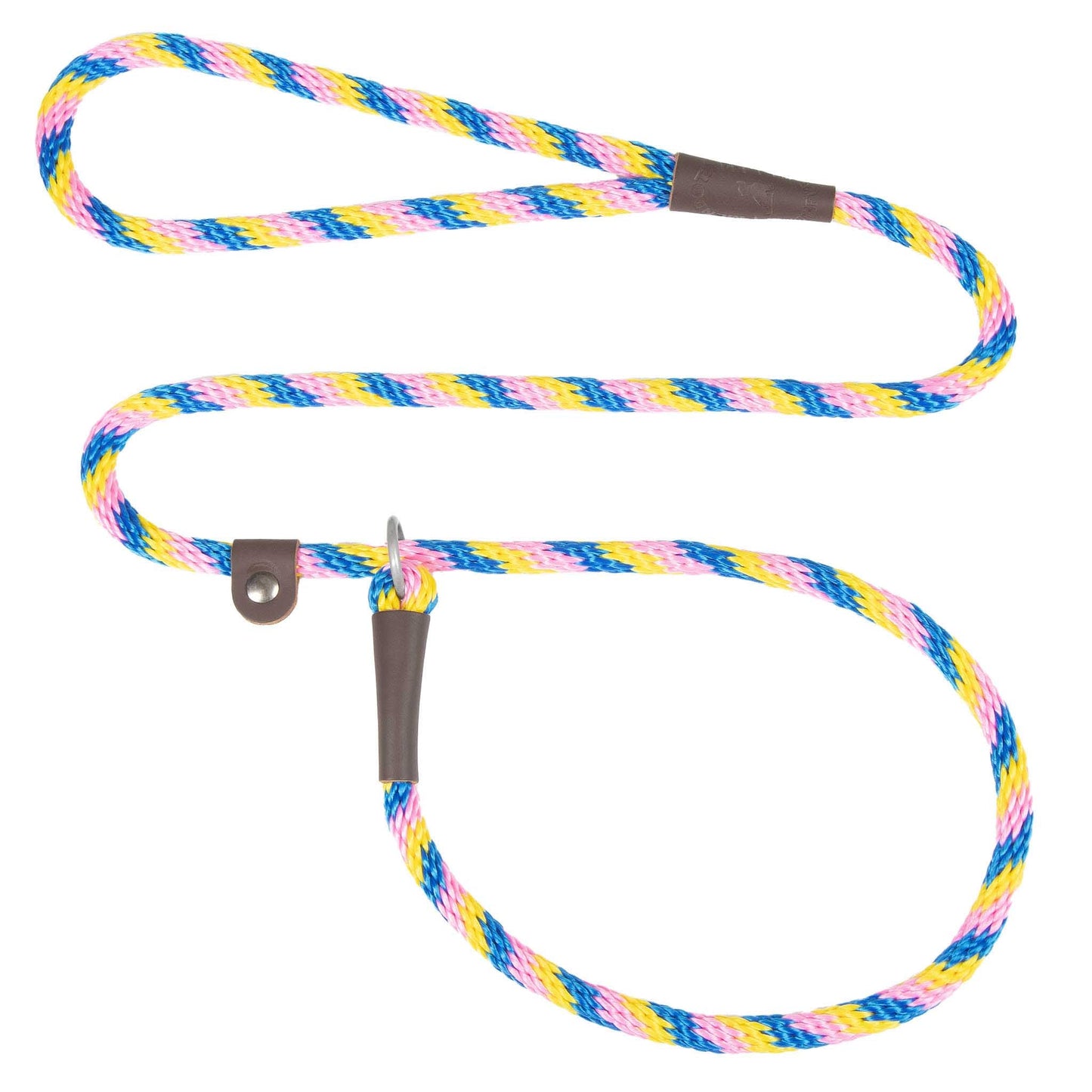 Holiday/Seasonal Fun Leashes