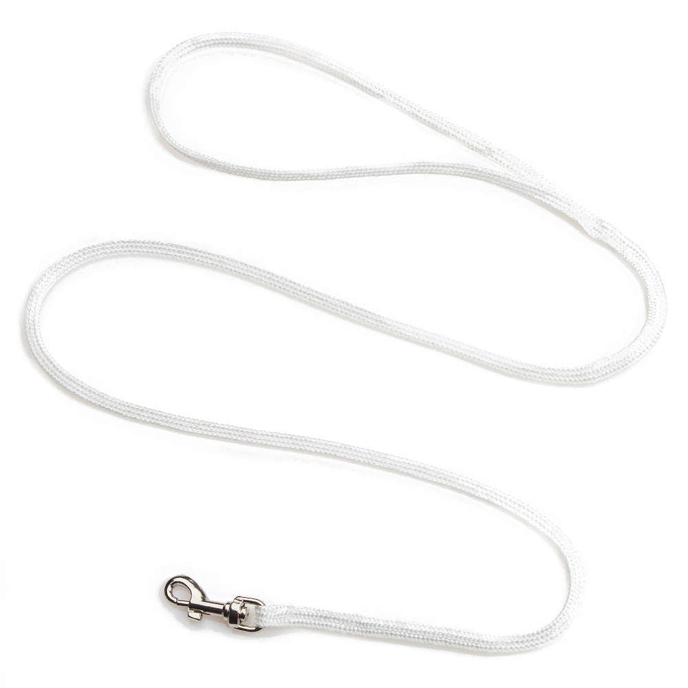Petite Snap Leash (Nylon)