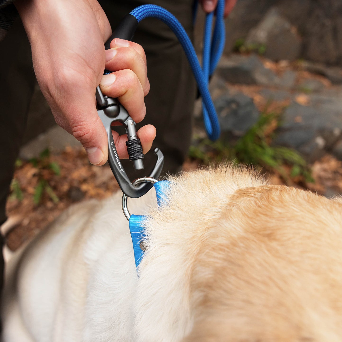 Elite Series Leash - Inspired by Rugged Climbing Rope
